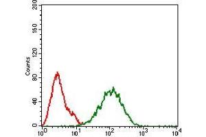 Flow cytometric analysis of Hela cells using IL3RA mouse mAb (green) and negative control (red). (IL3RA 抗体  (AA 200-305))
