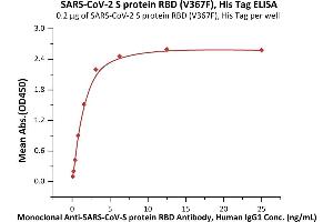ELISA image for SARS-CoV-2 Spike S1 (RBD), (V367F) protein (His tag) (ABIN6952630)