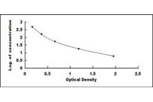 Image no. 1 for Islet Amyloid Polypeptide (IAPP) ELISA Kit (ABIN1873385)