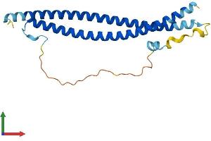 Protein Structure (PS) image for Synaptosomal-Associated Protein, 23kDa (SNAP23) (AA 1-210) protein (His tag) (ABIN7562242)