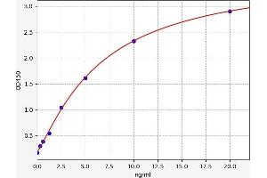 Typical standard curve (SOX2 ELISA 试剂盒)