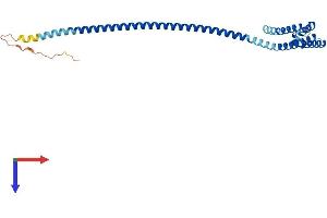 Coiled-Coil Domain Containing 127 (CCDC127) (AA 1-260) protein (His tag)
