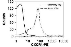 Image no. 1 for anti-Chemokine (C-X-C Motif) Receptor 4 (CXCR4) antibody (ABIN110595) (CXCR4 抗体)