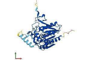 Protein Structure (PS) image for Monoglyceride Lipase (MGLL) (AA 1-303) protein (His tag) (ABIN7549342)