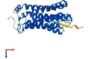 AlphaFold protein structure predicition of Mouse Recombinant Acer3 Protein, UniprotID Q9D099