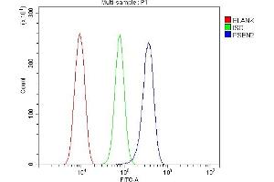 Flow Cytometry analysis of RH-35 cells using anti-Presenilin 2/AD5/PSEN2 antibody (ABIN7602796). (Presenilin 2 抗体  (C-Term))