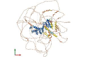 Protein Structure (PS) image for Pleckstrin Homology Domain Containing, Family G (With RhoGef Domain) Member 2 (PLEKHG2) (AA 1-1340) protein (His tag) (ABIN7564052)
