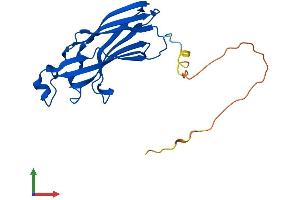 Protein Structure (PS) image for ASF1 Anti-Silencing Function 1 Homolog B (ASF1B) (AA 1-202) protein (His tag) (ABIN7561240)