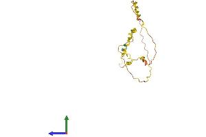 AlphaFold protein structure predicition of Human Recombinant C10orf55 Protein, UniprotID Q5SWW7