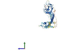 Protein Structure (PS) image for Tripartite Motif Containing 26 (TRIM26) (AA 1-545) protein (His tag) (ABIN7560465)