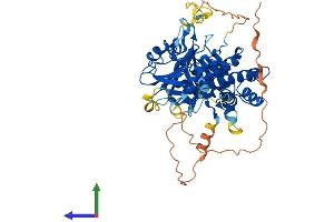 Protein Structure (PS) image for Cytidine and DCMP Deaminase Domain Containing 1 (CDADC1) (AA 1-523) protein (His tag) (ABIN7558763)