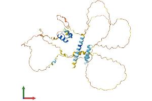 Protein Structure (PS) image for MEF2 Activating Motif and SAP Domain Containing Transcriptional Regulator (MAMSTR) (AA 1-415) protein (His tag) (ABIN7549197)