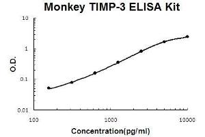 Monkey Primate TIMP-3 PicoKine ELISA Kit standard curve (TIMP3 ELISA 试剂盒)