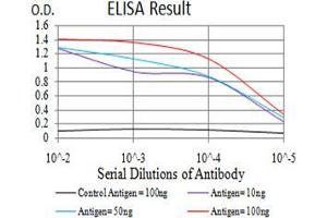 Fig. (Estrogen Receptor alpha 抗体  (pTyr537))