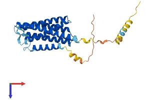 AlphaFold protein structure predicition of Human Recombinant TEDDM1 Protein, UniprotID Q5T9Z0