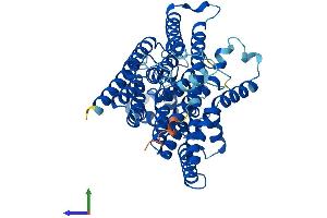 Protein Structure (PS) image for Asparagine-Linked Glycosylation 6, alpha-1,3-Glucosyltransferase Homolog (ALG6) (AA 1-507) protein (His tag) (ABIN7552180)