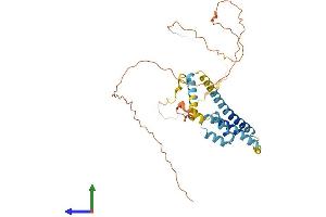Protein Structure (PS) image for Nedd4 Family Interacting Protein 2 (NDFIP2) (AA 1-336) protein (His tag) (ABIN7549737)