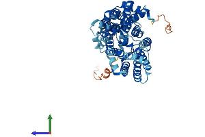 Protein Structure (PS) image for Solute Carrier Family 2 (Facilitated Glucose Transporter), Member 4 (SLC2A4) (AA 1-509) protein (His tag) (ABIN7562868)