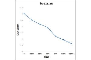 Antigen: 2 µg/100 µL  Primary: Antiserum, 1:500, 1:1000, 1:2000, 1:4000, 1:8000, 1:16000, 1:32000;  Secondary: HRP conjugated Rabbit Anti-Goat IgG at 1: 5000;  TMB staining Read the data in Microplate Reader by 450nm. (DLG3 抗体  (AA 501-600))
