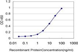 Detection limit for recombinant GST tagged ADAM9 is approximately 0. (ADAM9 抗体  (AA 36-135))