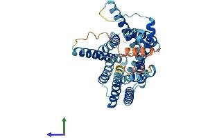AlphaFold protein structure predicition of Mouse Recombinant Slc35c1 Protein, UniprotID Q8BLX4 (SLC35C1 Protein (AA 1-363) (His tag))