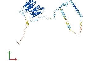 Protein Structure (PS) image for KRR1, Small Subunit (SSU) Processome Component, Homolog (KRR1) (AA 1-380) protein (His tag) (ABIN7558540)