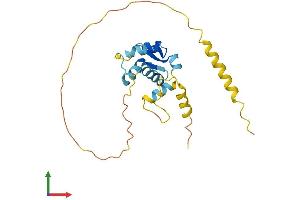 Protein Structure (PS) image for Melanoma Antigen Family H, 1 (MAGEH1) (AA 1-218) protein (His tag) (ABIN7561719)