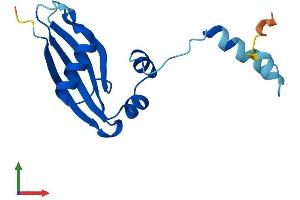 Protein Structure (PS) image for Ribosomal Protein S24 (RPS24) (AA 1-133) protein (His tag) (ABIN7551573)