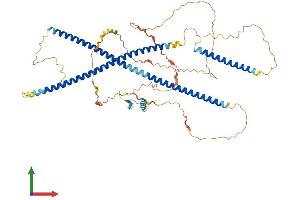 AlphaFold protein structure predicition of Mouse Recombinant Tbkbp1 Protein, UniprotID A2A9T0