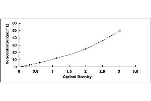 Typical standard curve (DNAJB11 ELISA 试剂盒)