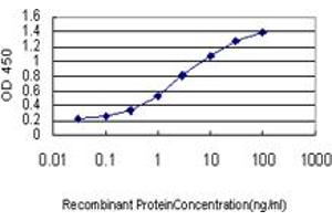 Detection limit for recombinant GST tagged GMNN is approximately 0. (Geminin 抗体  (AA 110-209))