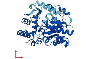 Protein Structure (PS) image for Sulfotransferase Family, Cytosolic, 6B, Member 1 (SULT6B1) (AA 1-303) protein (His tag) (ABIN7562811)