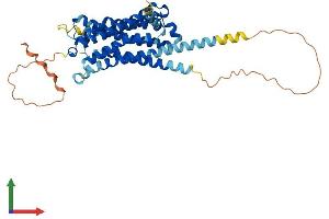 Protein Structure (PS) image for Serotonin Receptor 1B (HTR1B) (AA 1-390) protein (His tag) (ABIN7551886)