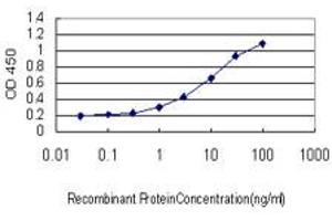 ELISA image for anti-Hairy/enhancer-of-Split Related with YRPW Motif-Like (HEYL) (AA 221-327) antibody (ABIN599209) (HEYL 抗体  (AA 221-327))