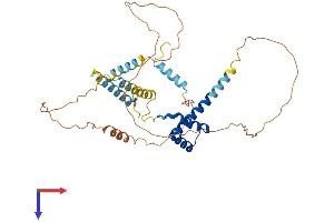 DMBX1 Protein (AA 1-381) (His tag)