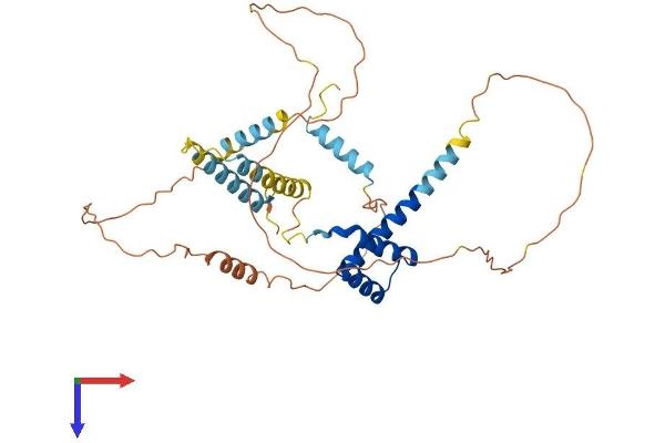 DMBX1 Protein (AA 1-381) (His tag)