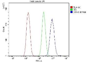 Flow Cytometry analysis of U20S cells using anti-mGluR1/GRM1 antibody (ABIN7600912).