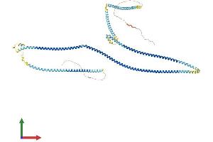 AlphaFold protein structure predicition of Human Recombinant PIBF1 Protein, UniprotID Q8WXW3