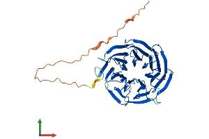 Protein Structure (PS) image for Small Nuclear Ribonucleoprotein 40kDa (U5) (SNRNP40) (AA 1-358) protein (His tag) (ABIN7558055)