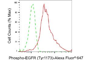 Flow cytometric analysis of Phospho-EGFR (Tyr) expression in HepG2 cells using Phospho-EGFR (Tyr) antibody (ABIN7798466), 1:2,000). (Recombinant EGFR 抗体  (pTyr1173))