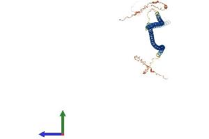 Protein Structure (PS) image for Keratin 81 (KRT81) (AA 1-481) protein (His tag) (ABIN7561433)
