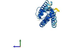 AlphaFold protein structure predicition of Mouse Recombinant Tspan9 Protein, UniprotID Q8BJU2 (Tetraspanin 9 Protein (TSPAN9) (AA 1-239) (His tag))