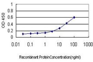 Detection limit for recombinant GST tagged RRM1 is approximately 0. (RRM1 抗体  (AA 644-753))
