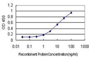 Detection limit for recombinant GST tagged HERC3 is approximately 0. (HERC3 抗体  (AA 1-109))