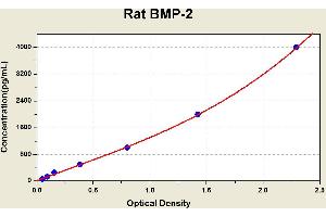 Bone Morphogenetic Protein 2 (BMP2) ELISA Kit