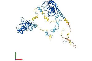 Protein Structure (PS) image for Peptidylprolyl Isomerase (Cyclophilin)-Like 2 (PPIL2) (AA 1-520) protein (His tag) (ABIN7555067)