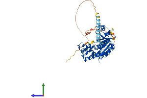 AlphaFold protein structure predicition of Human Recombinant HS3ST3A1 Protein, UniprotID Q9Y663