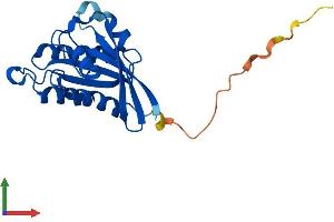 Protein Structure (PS) image for RAB22A, Member RAS Oncogene Family (RAB22A) (AA 1-194) protein (His tag) (ABIN7551252)