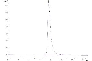 Size-exclusion chromatography-High Pressure Liquid Chromatography (SEC-HPLC) image for Albumin (ALB) (AA 25-608) protein (His tag) (ABIN7273983)