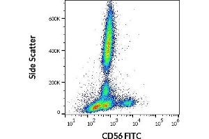 Flow cytometry surface staining pattern of human peripheral whole blood stained using anti-human CD56 (LT56) FITC antibody (4 μL reagent / 100 μL of peripheral whole blood). (CD56 抗体  (FITC))